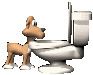 dogdrinking_sm_clr[1].gif (19063 bytes)